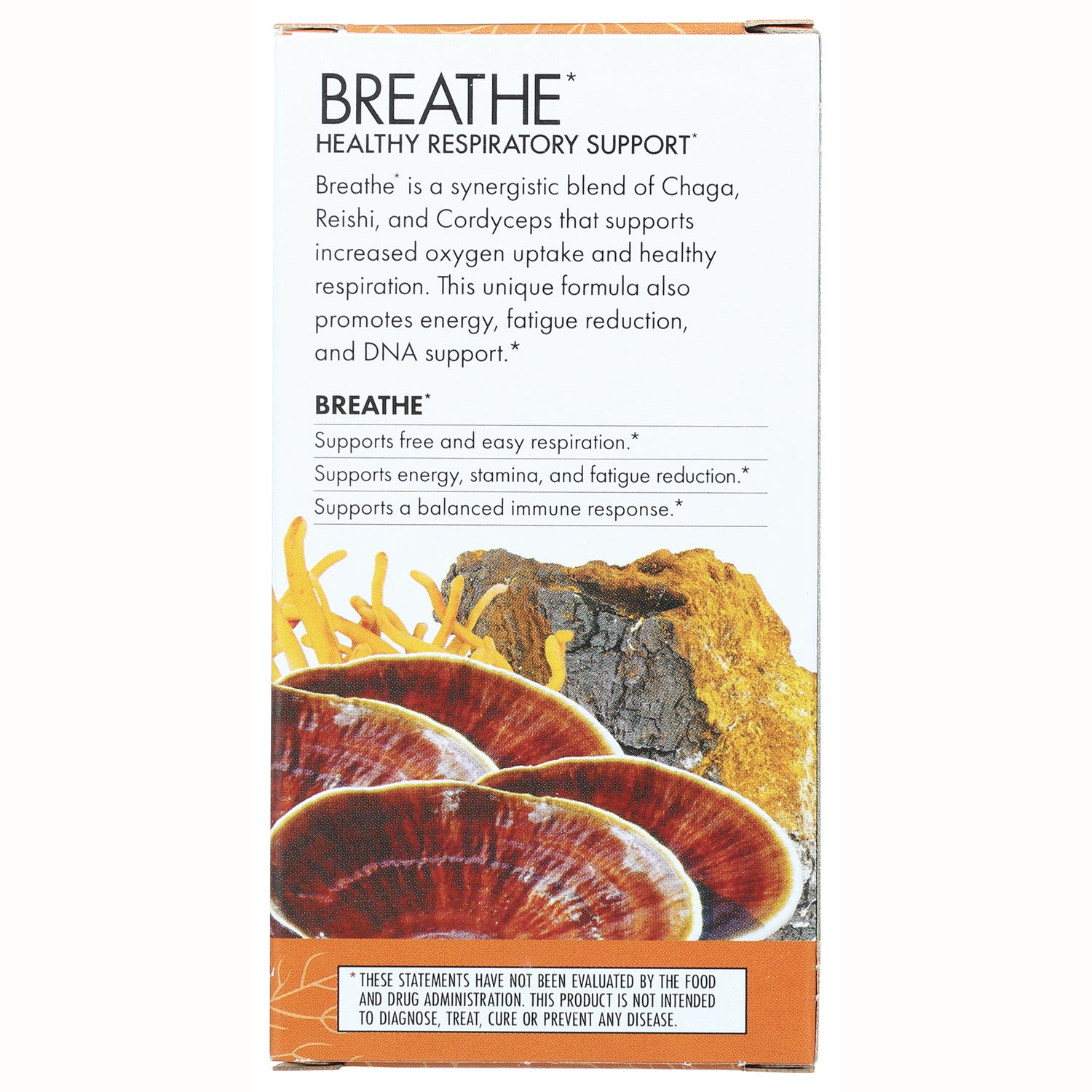 FUN039 | BREATHE healthy respiratory support panel listing benefits and showing mushrooms image