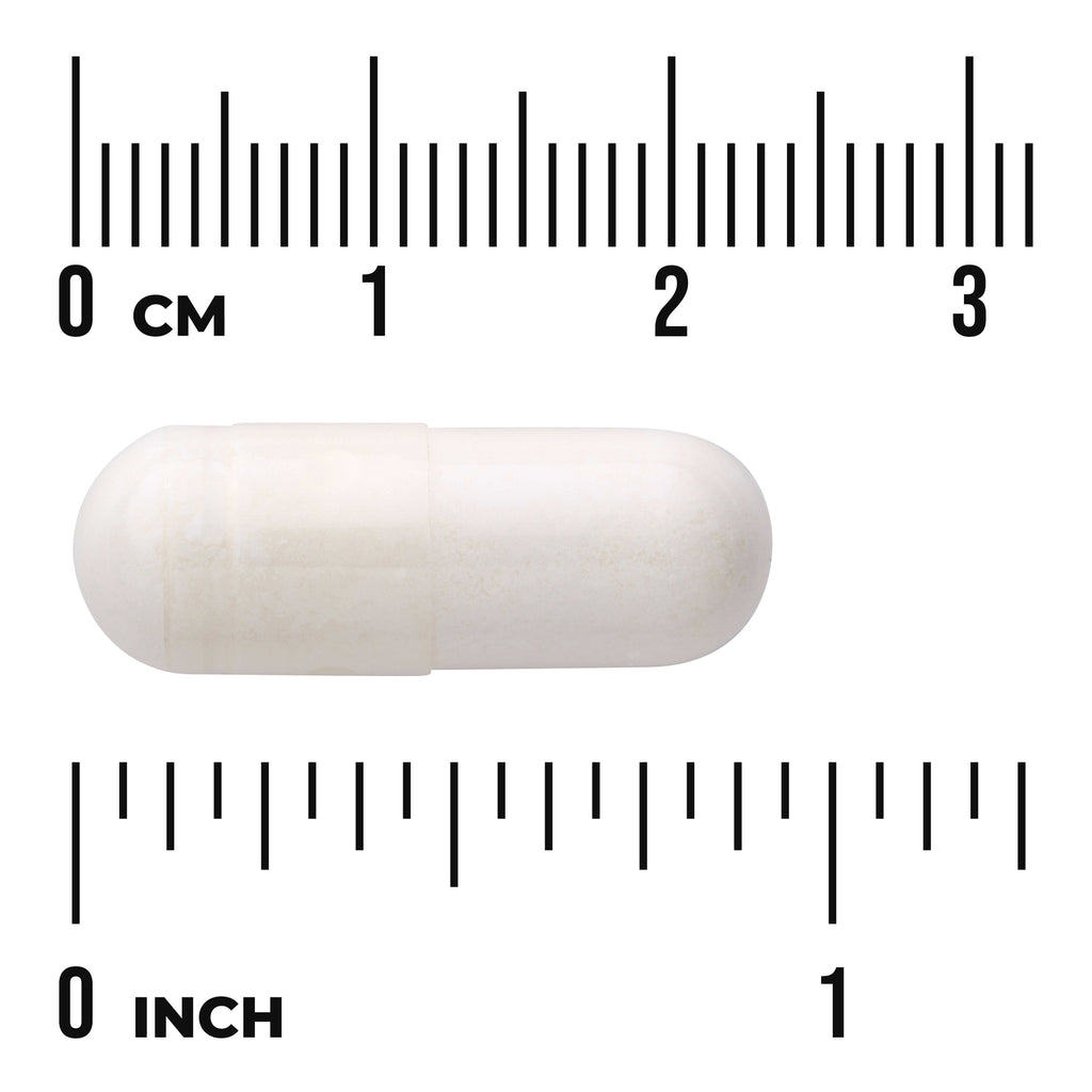 SW224 | White capsule shown beside size ruler in centimeters and inches - Thumbnail