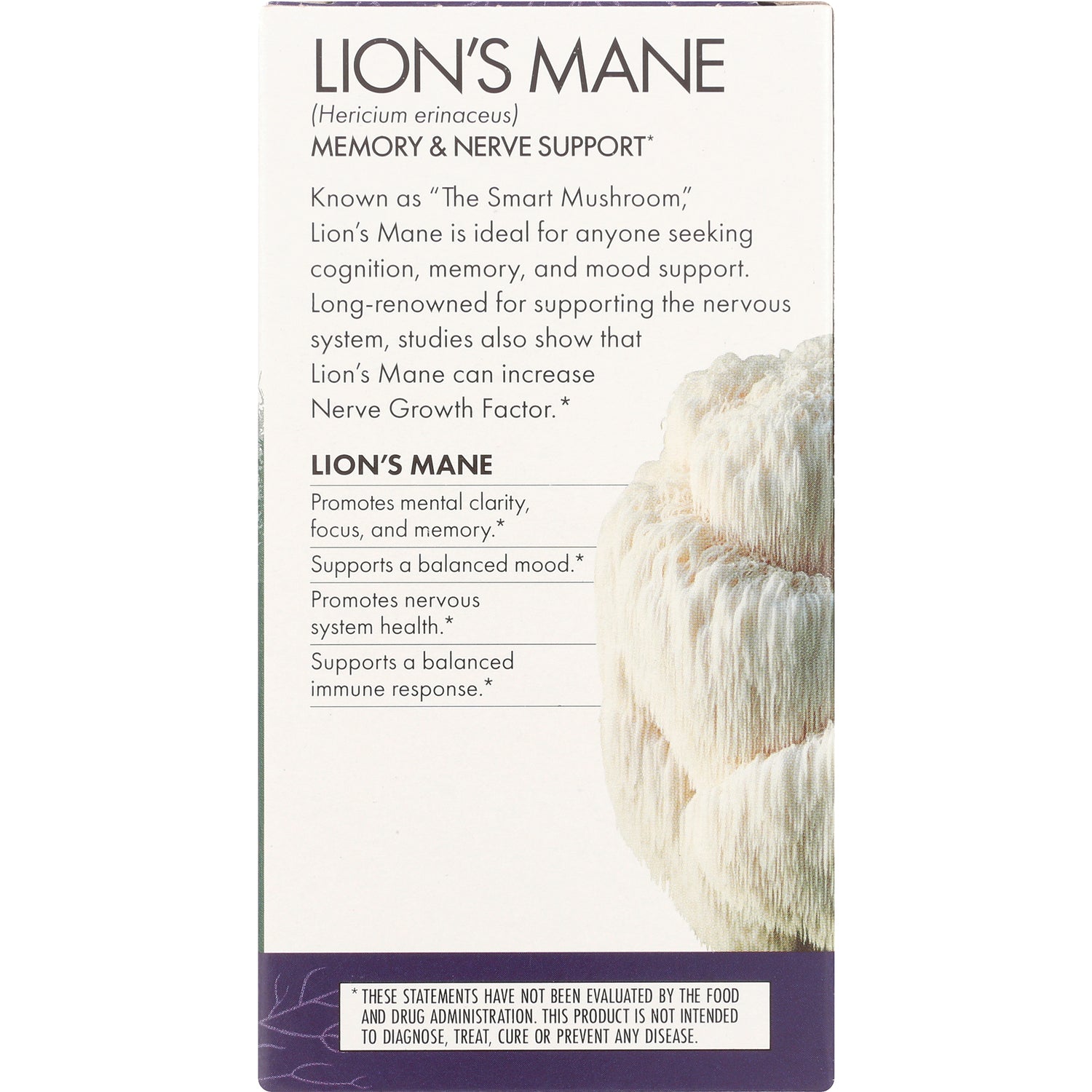 FUN025 | Lion's Mane product infographic listing memory and nerve support benefits with mushroom illustration