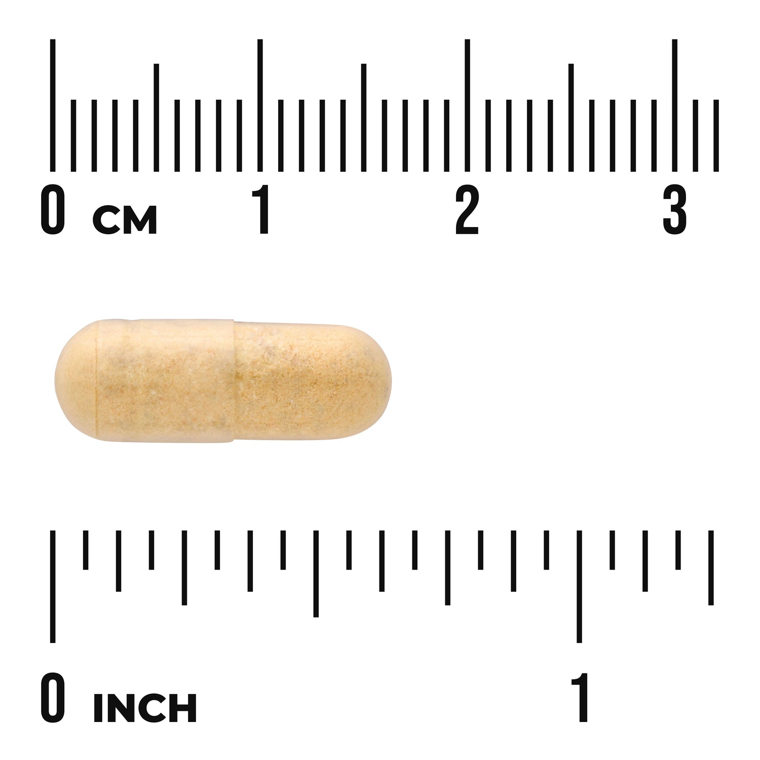 SW1621 | Beige capsule shown with centimeter and inch rulers for size