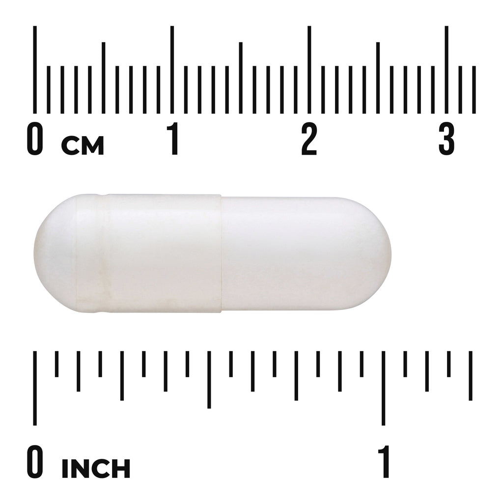 SWU1060 | white two-piece capsule on rulers showing about 1 inch length - Thumbnail
