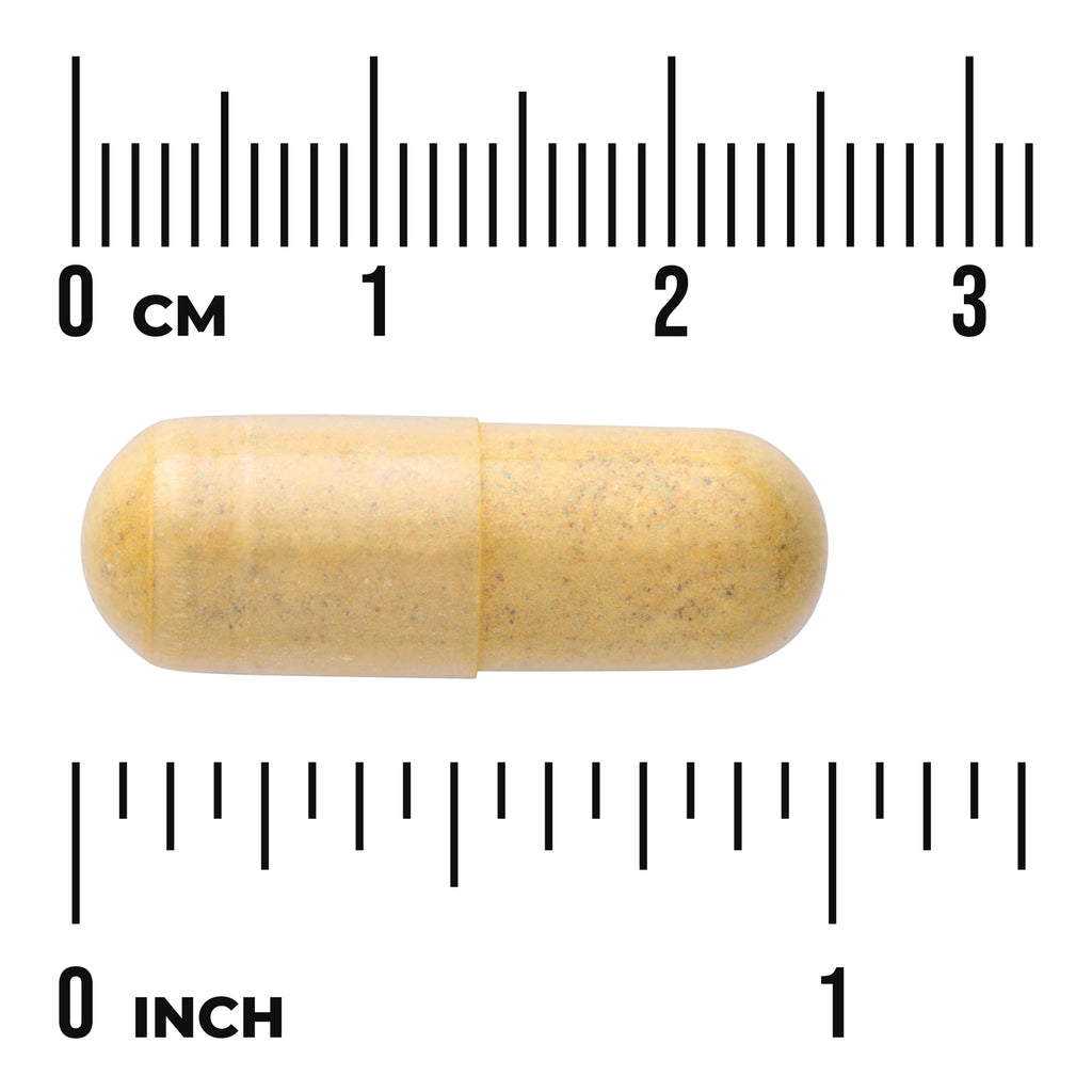 SW834 | Yellow capsule with cm and inch rulers for size - Thumbnail