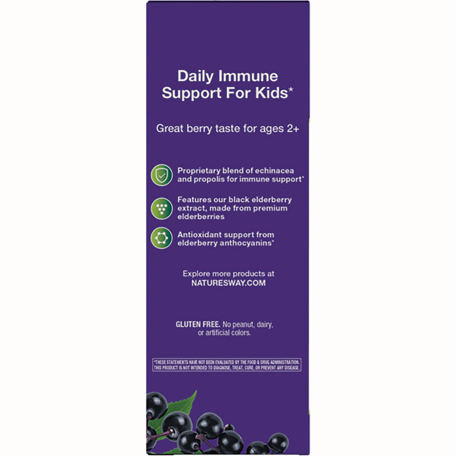 NW669 | Back of purple box reading Daily Immune Support For Kids with product features, elderberry graphics and gluten free note