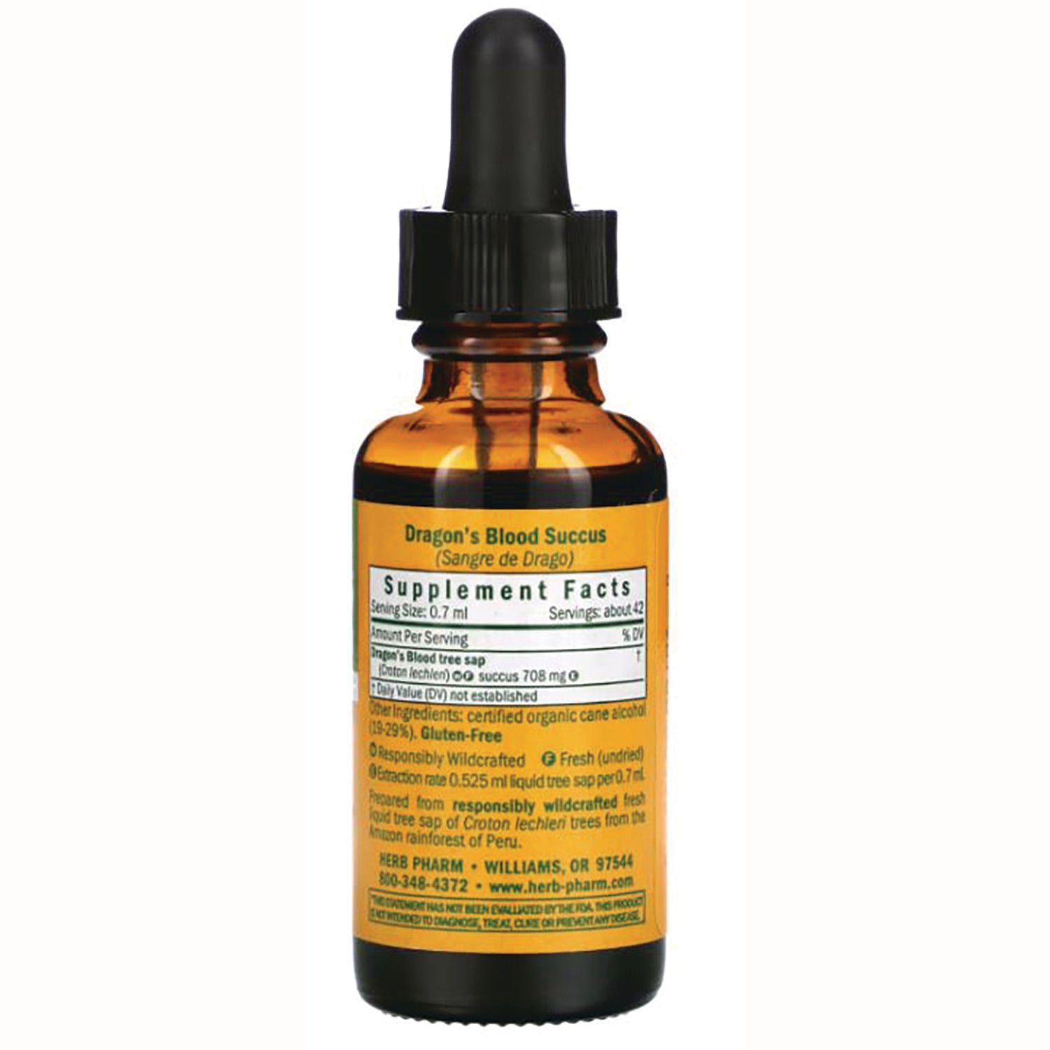HPH054 | Back of amber dropper bottle labeled Dragon's Blood Succus showing supplement facts and ingredient text