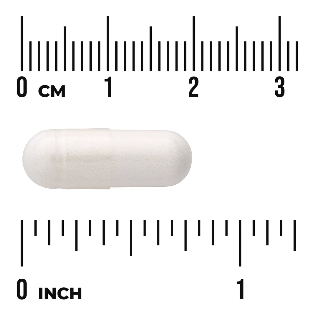SW1734 | White capsule with size scale in centimeters and inches - Thumbnail