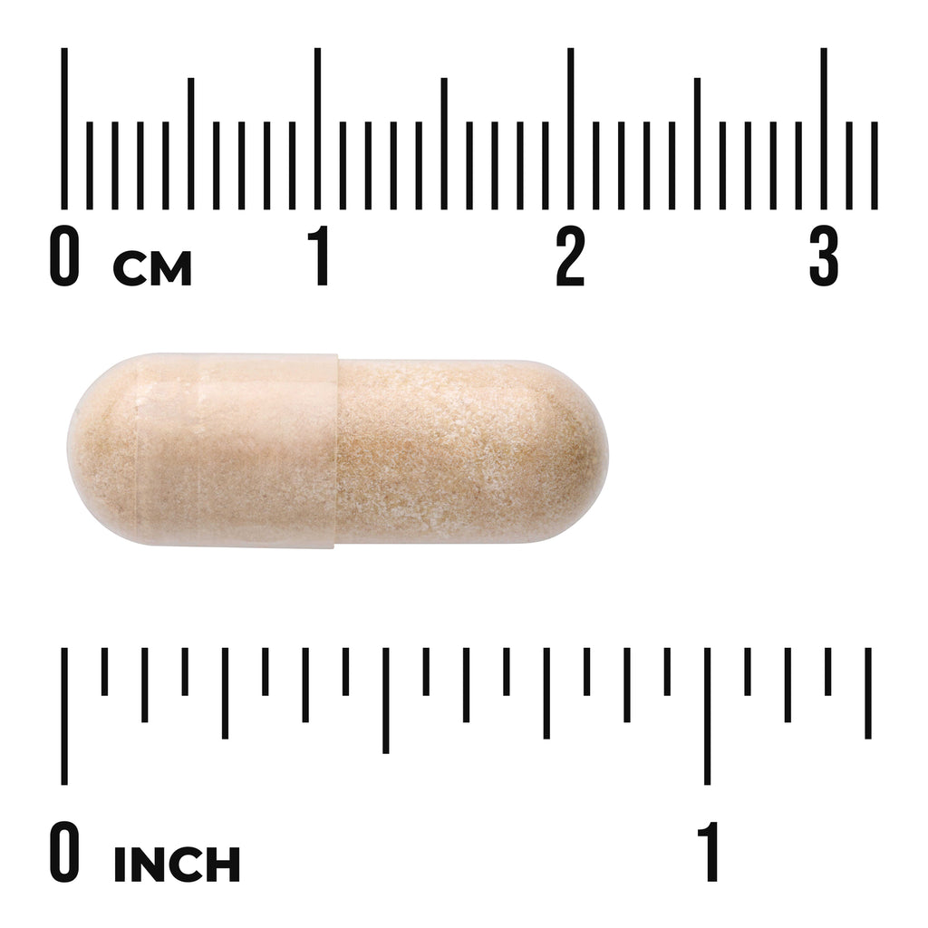 SWH210 | Beige capsule with size reference rulers in centimeters and inches - Thumbnail