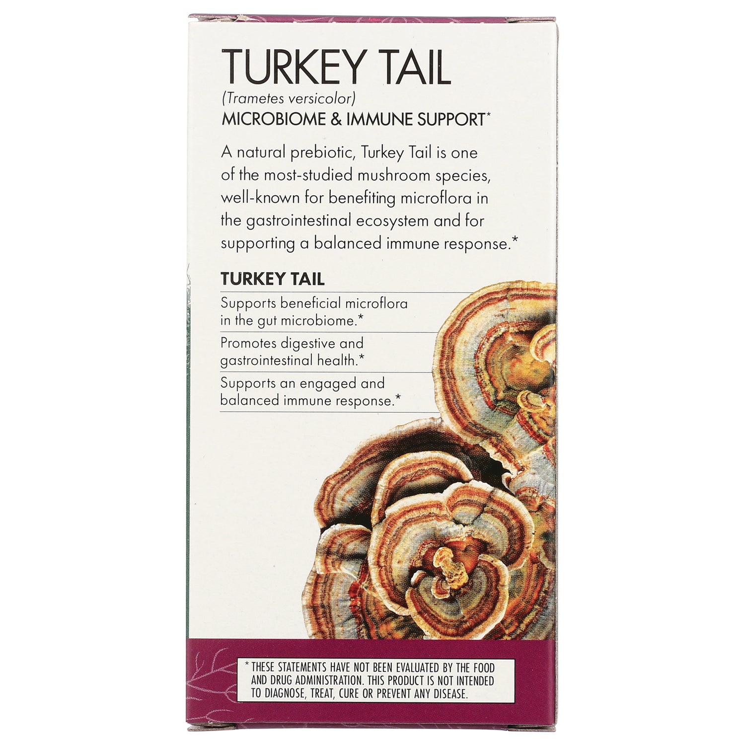 FUN013 | back panel of Turkey Tail supplement box with product description, benefits list, and mushroom illustration