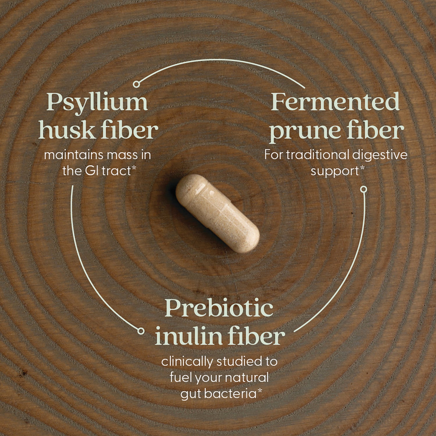 NWC399 | Capsule infographic highlighting psyllium husk fiber, fermented prune fiber, and prebiotic inulin fiber