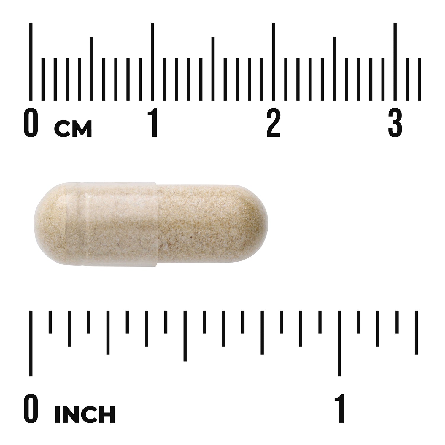 SW1755 | Clear capsule filled with beige powder shown on centimeter and inch rulers to illustrate size
