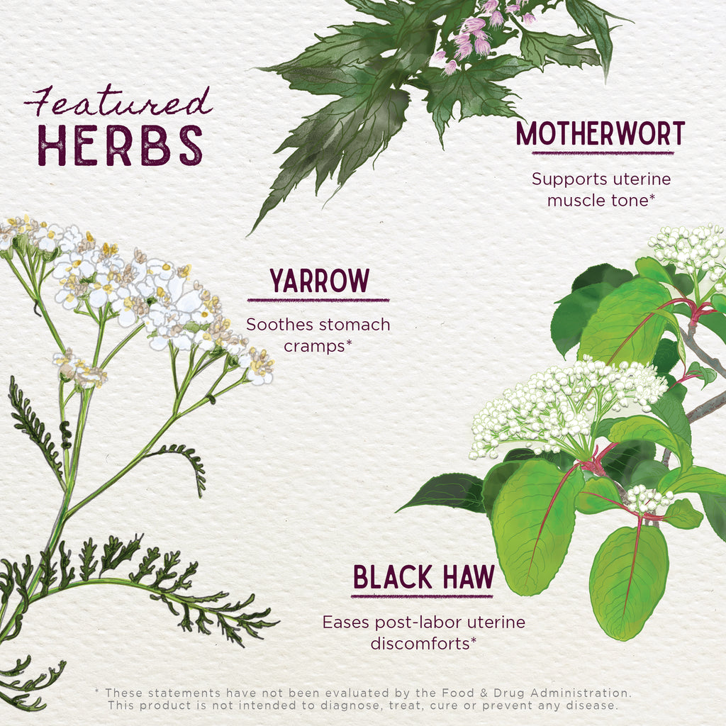 WGH001 | Featured herbs: yarrow soothes cramps; motherwort supports uterine tone; black haw eases post-labor discomforts - Thumbnail