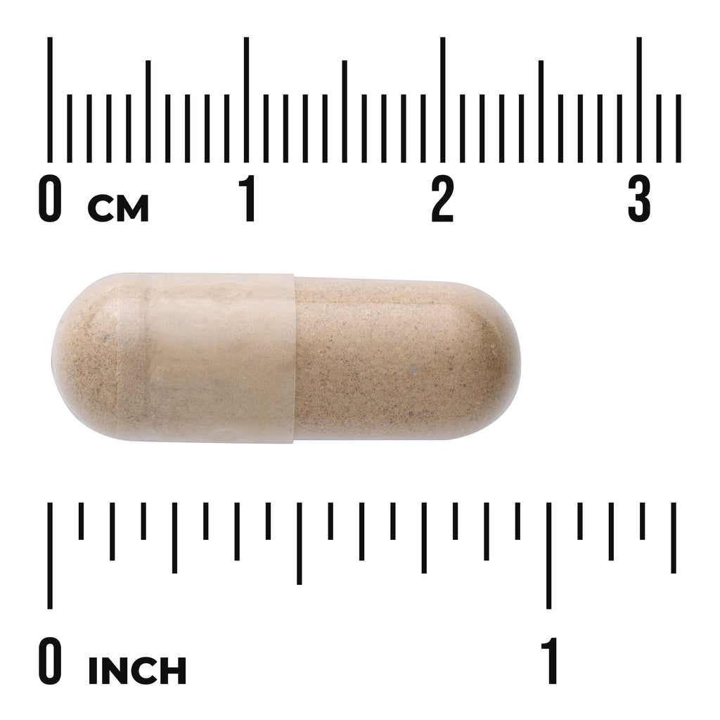 SW1153 | Beige capsule with size scale in centimeters and inches - Thumbnail