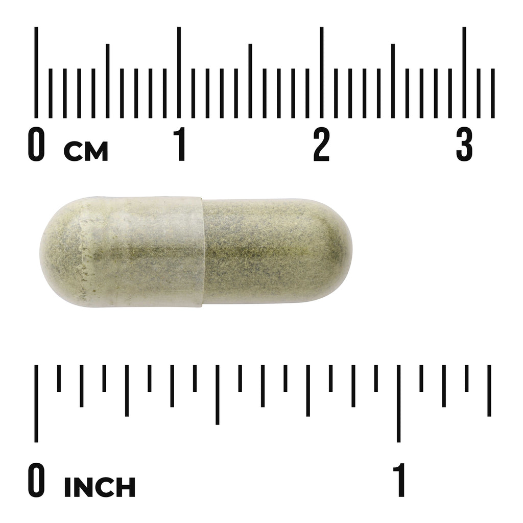 SW1301 | Green herbal capsule on white background with metric and inch rulers showing size - Thumbnail
