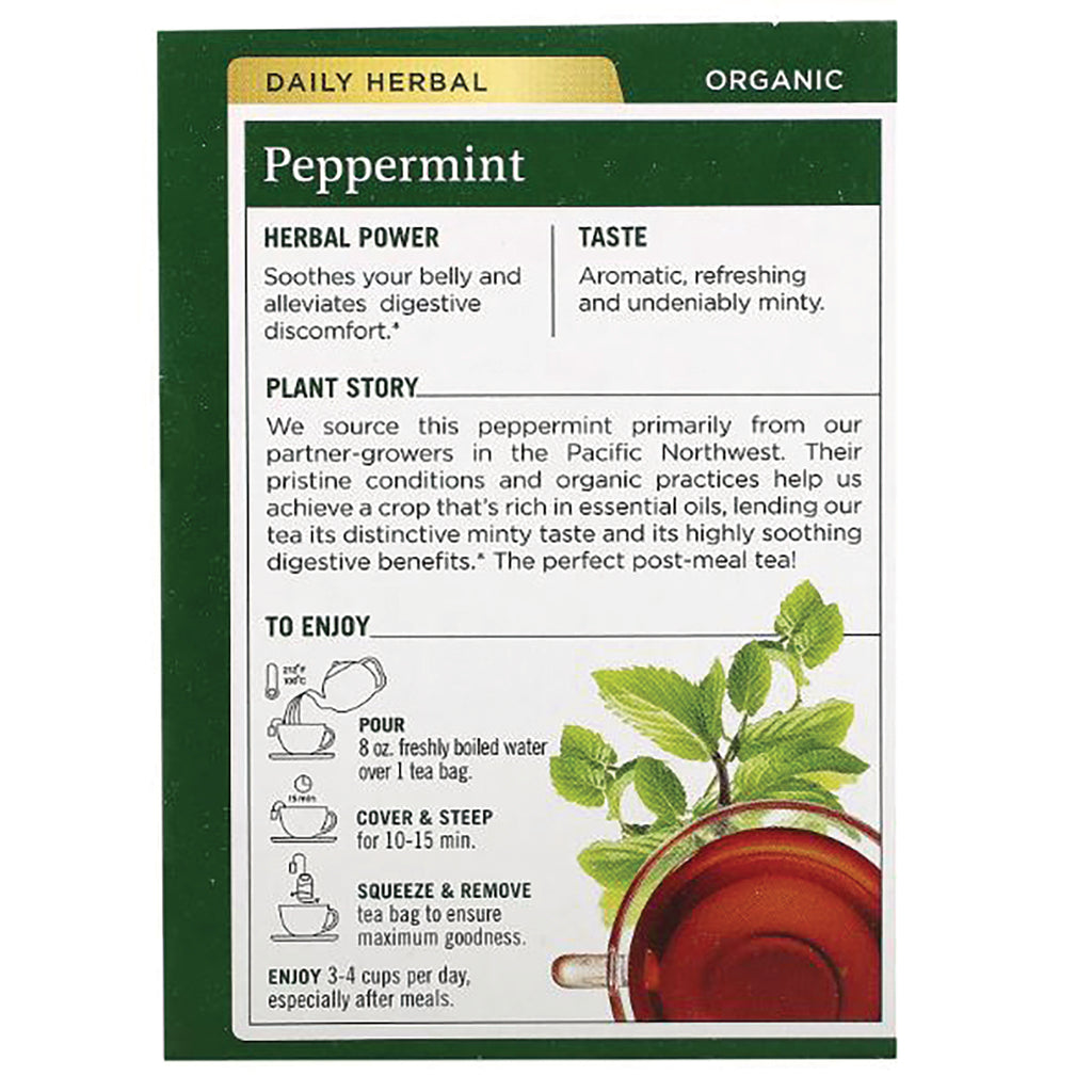 TMD006 | Back panel: Organic Peppermint tea details with Herbal Power, Taste, Plant Story, and brewing steps - Thumbnail