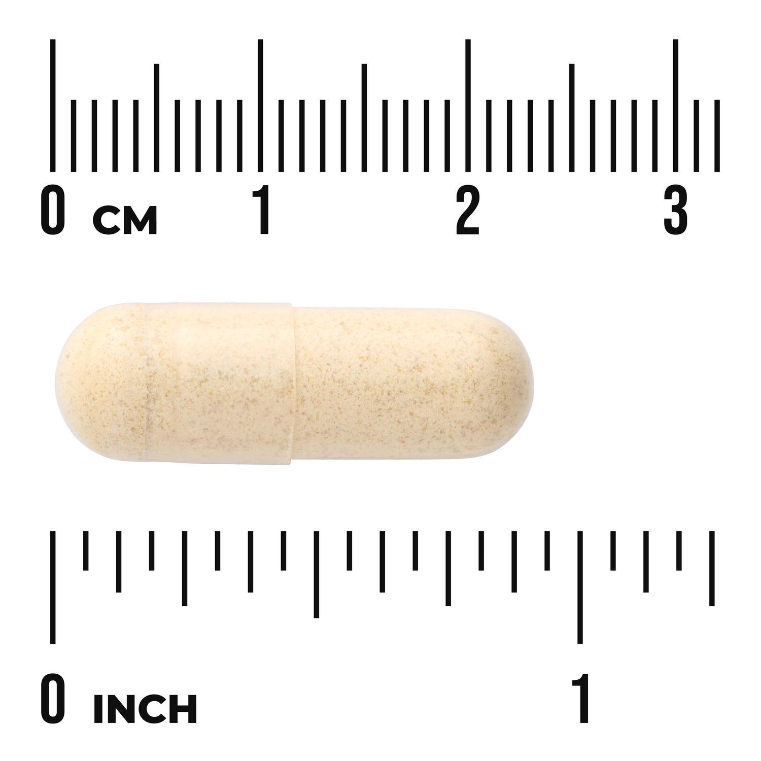 SW1262 | Beige capsule shown next to rulers marked 03 cm and 01 inch to indicate size