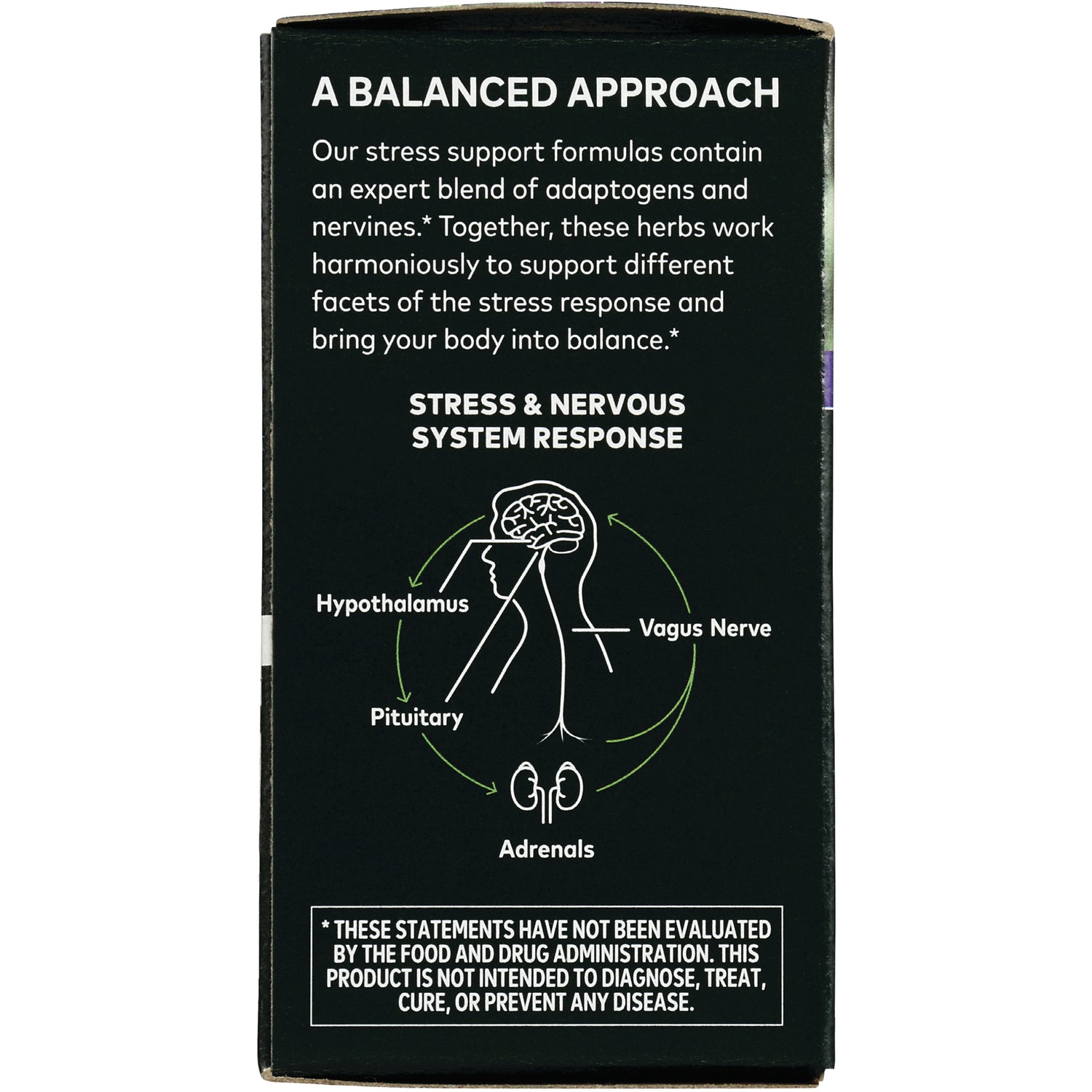 GH043 | Product infographic showing stress & nervous system response with Hypothalamus, Pituitary, Vagus Nerve, Adrenals