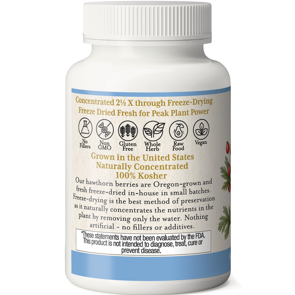 EC015 | back label of white supplement bottle with freeze-dried hawthorn description, Non GMO Gluten Free Vegan icons, 100% Kosher - Thumbnail