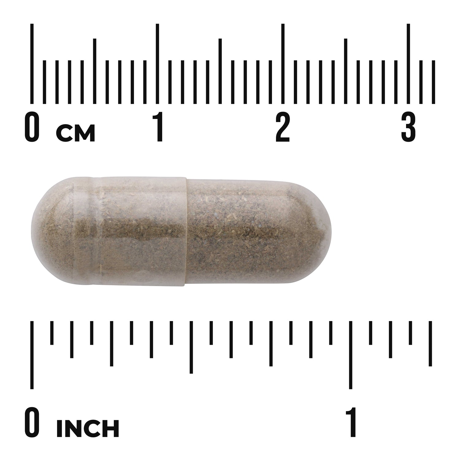 SW1068 | Brown herbal capsule with size reference against cm and inch rulers