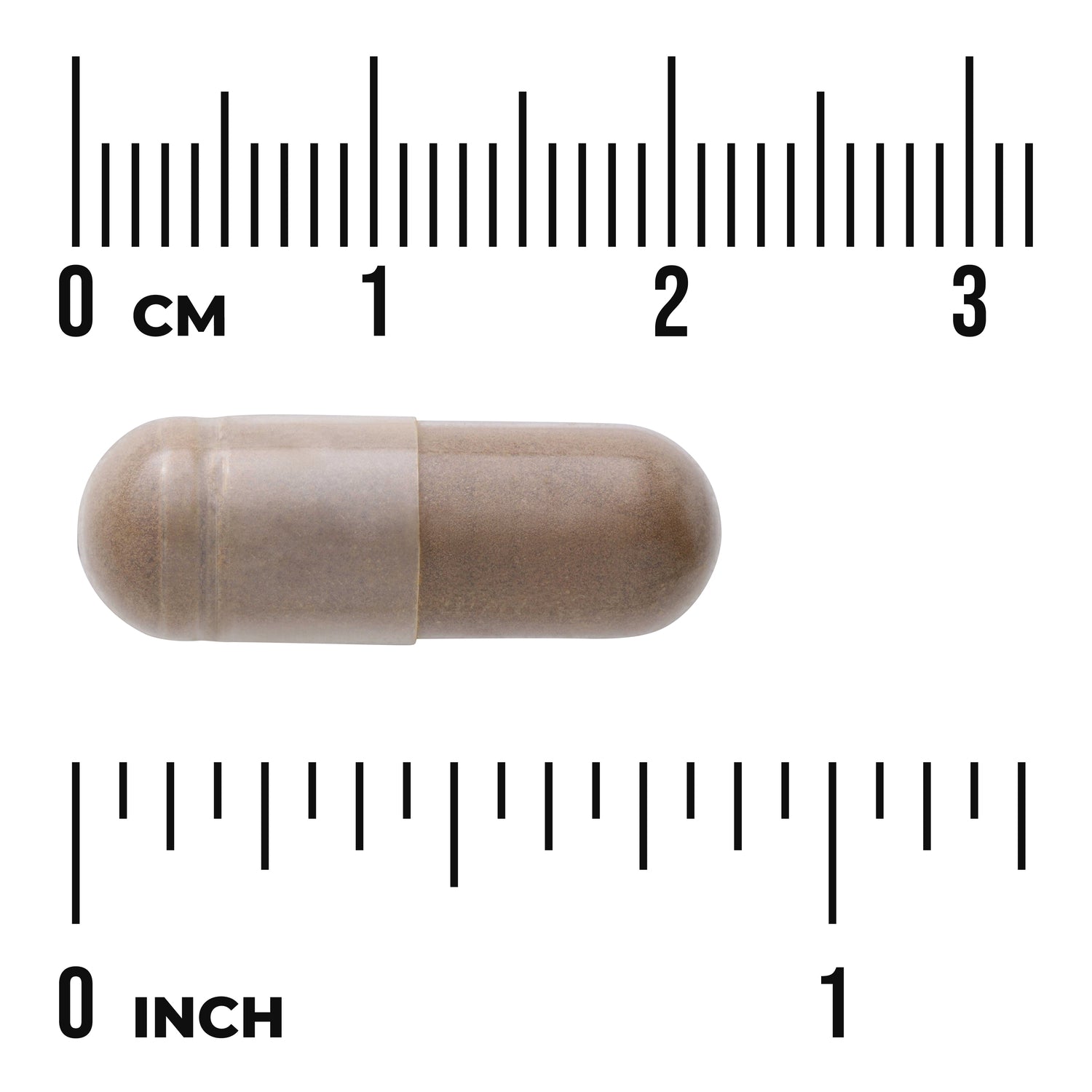 SWH065 | brown gelatin capsule on rulers showing centimeter and inch measurements to indicate size