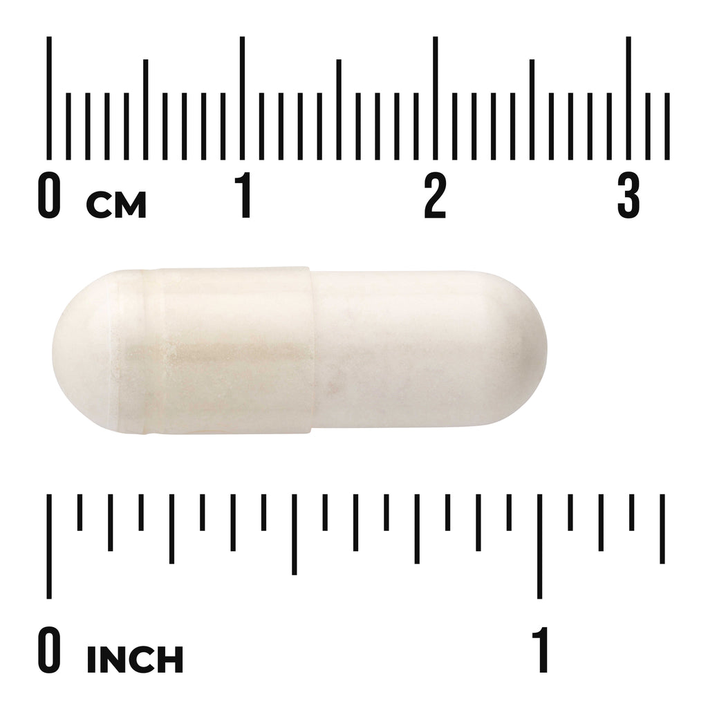 SW1589 | Size reference of a white capsule next to centimeter and inch rulers - Thumbnail