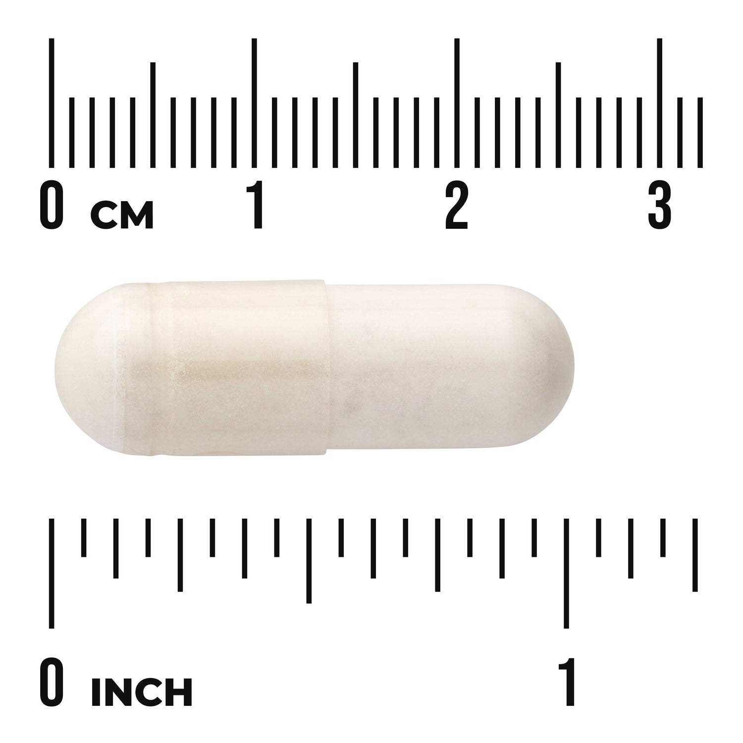 SW1589 | Size reference of a white capsule next to centimeter and inch rulers