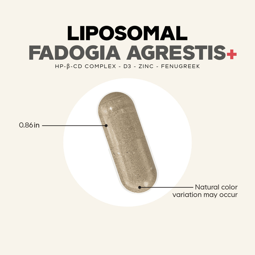 CDG057 | Liposomal fadogia agrestis capsule infographic with size and color variation notes - Thumbnail
