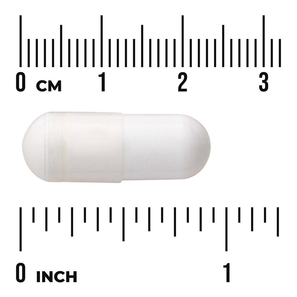 SWU946 | White capsule next to centimeter and inch rulers labeled 0 CM and 0 INCH - Thumbnail