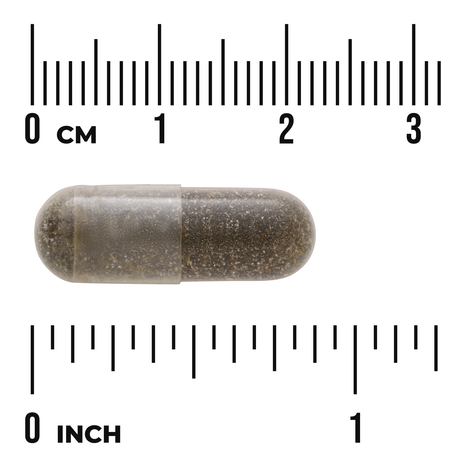 SW1346 | clear capsule filled with brown powder shown against centimeter and inch rulers for scale