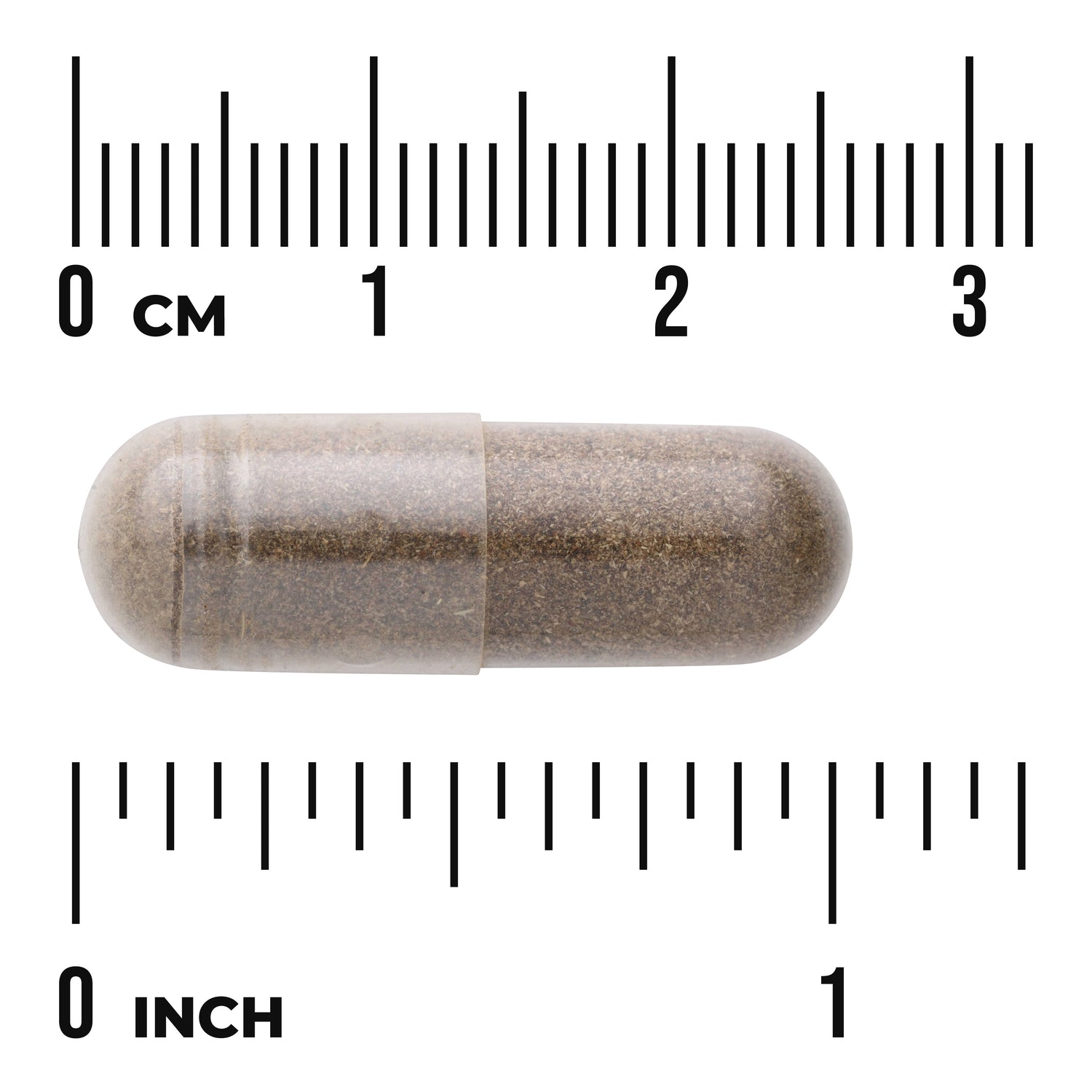SW422 | Brown capsule with size scale: 0â€“3 cm and 0â€“1 inch