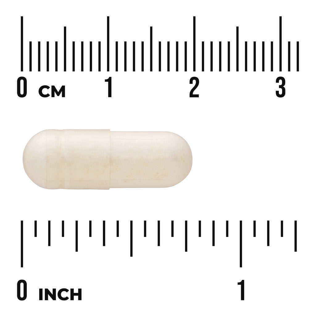 SWA056 | White capsule shown with size scale in inches and centimeters - Thumbnail