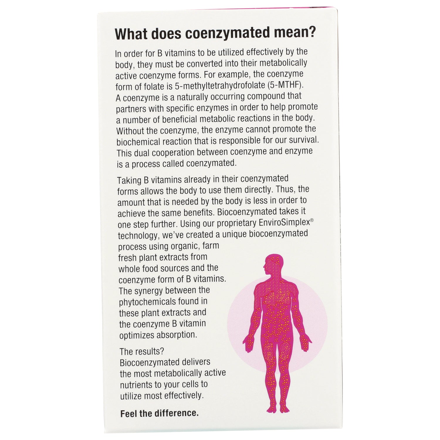 NFC173 | Product infographic panel titled What does coenzymated mean? with explanatory text and pink human silhouette