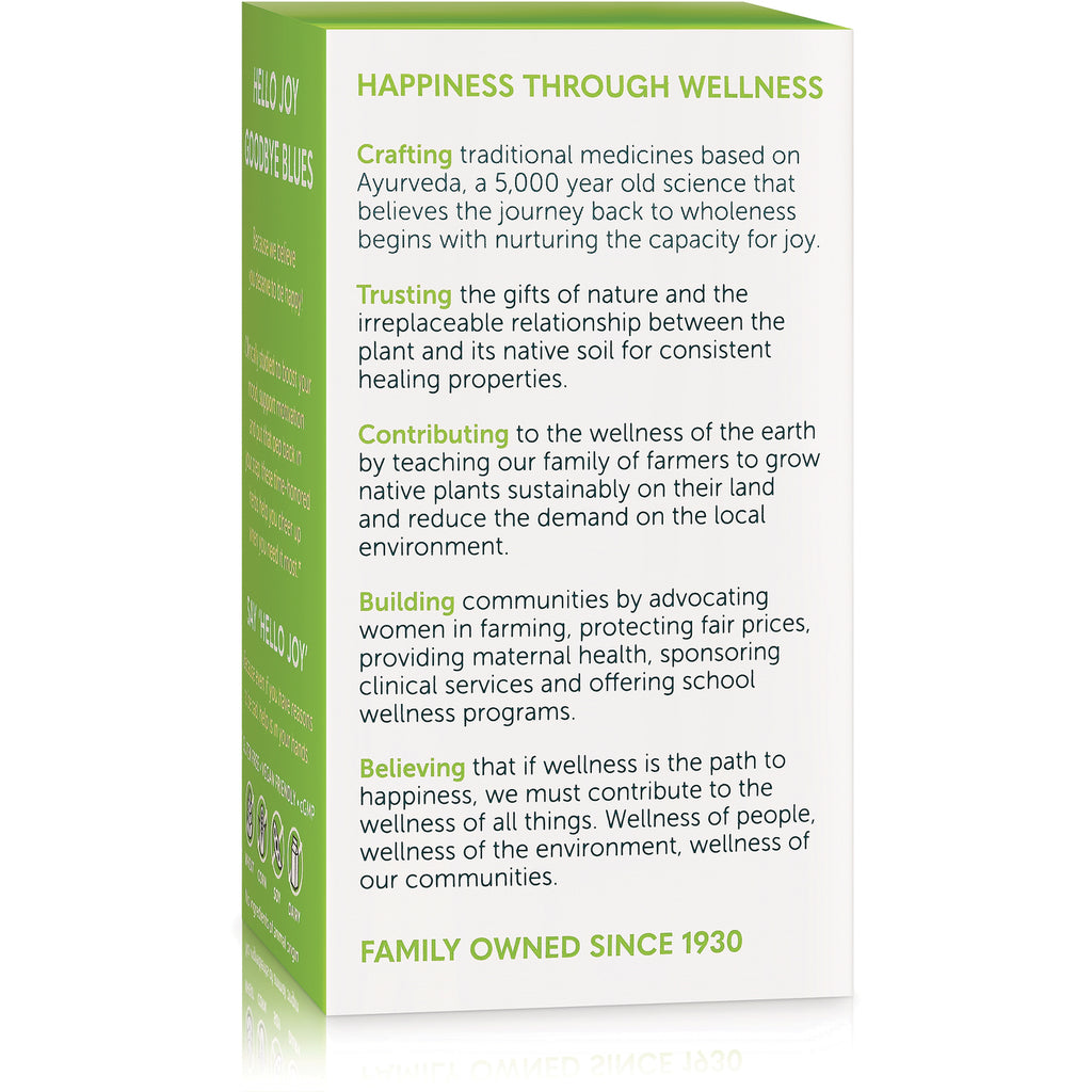 HHH061 | product infographic titled HAPPINESS THROUGH WELLNESS listing crafting, trusting, contributing, building, believing - Thumbnail
