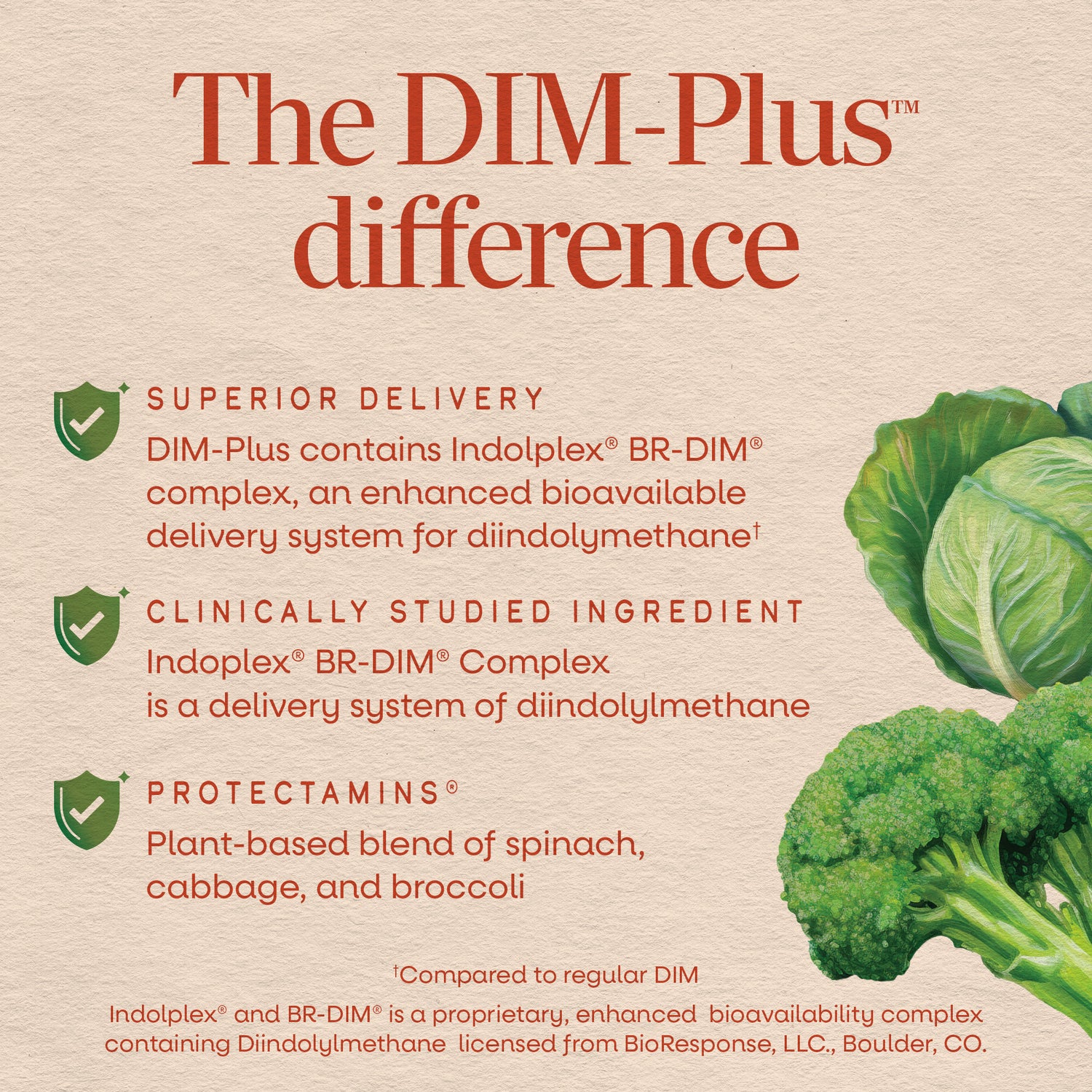 NW687 | The DIM-Plus difference infographic highlighting superior delivery, studied ingredients, and plant-based blend