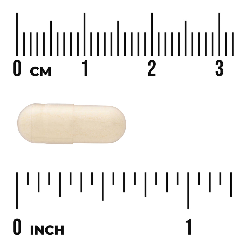 SWU067 | Beige capsule with size rulers in centimeters and inches - Thumbnail