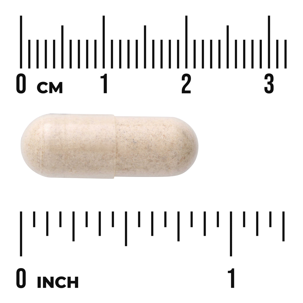 SW1524 | Beige capsule shown with cm and inch rulers for size reference - Thumbnail