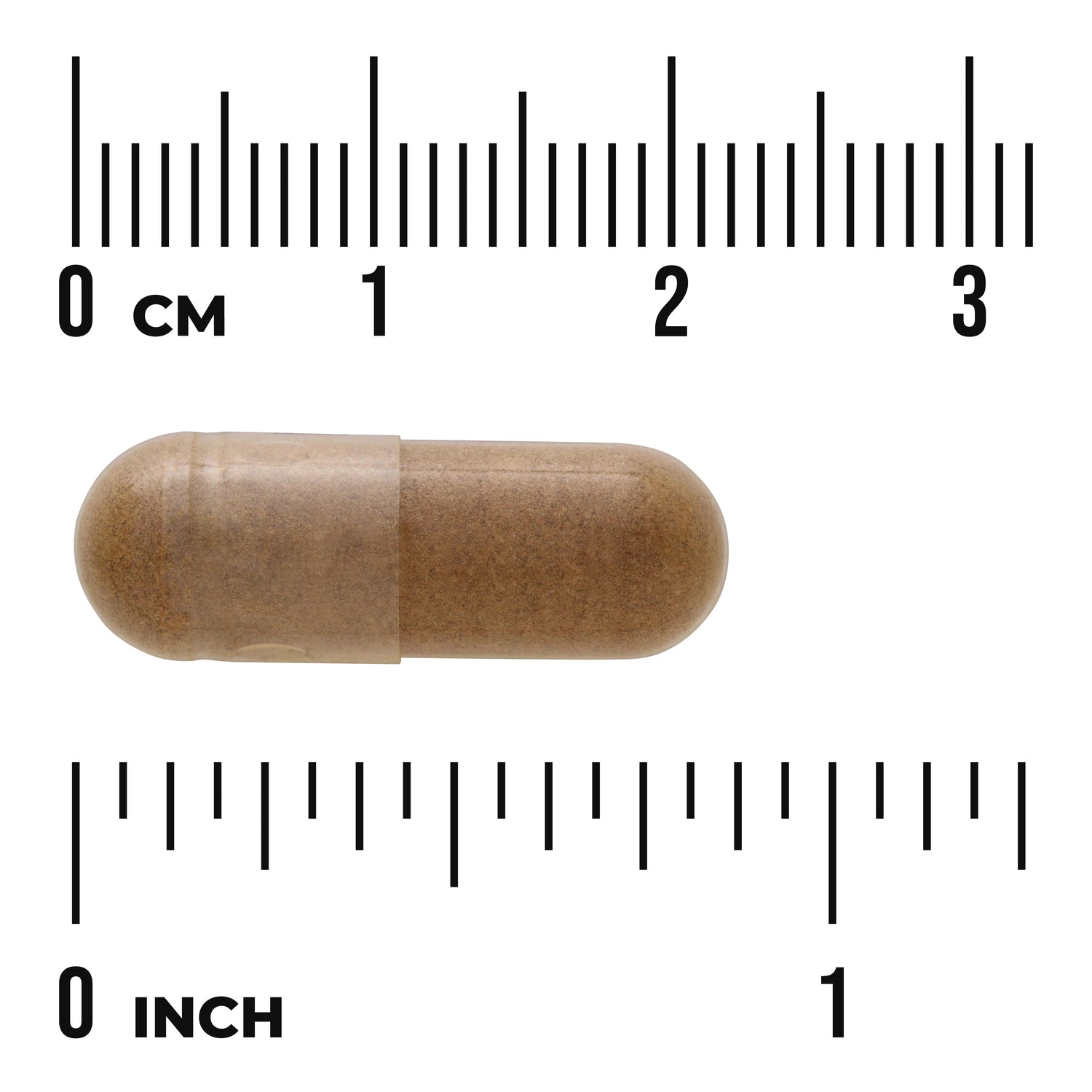 SW1378 | Brown capsule shown with inch and cm rulers