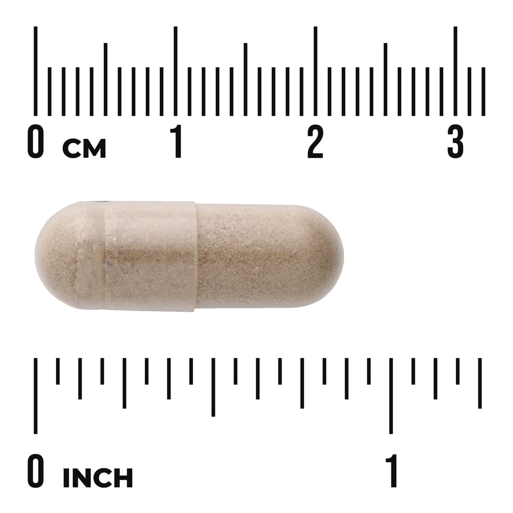 SWU761 | Capsule shown with centimeter and inch rulers for size reference - Thumbnail