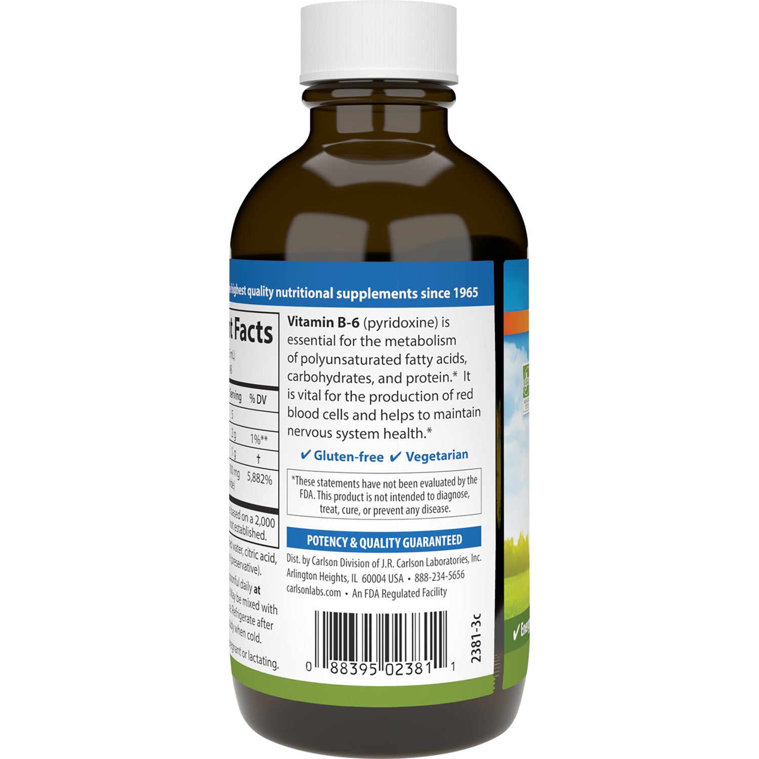 CSN078 | Back label of brown supplement bottle showing nutrition facts, Vitamin B-6 description, gluten-free and vegetarian claims, barcode