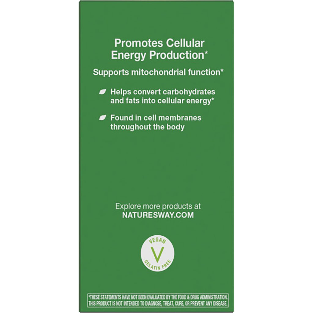 ET385 | Back panel reading SMART Q10 supports heart and brain health and notes CoQ10's energy support - Thumbnail