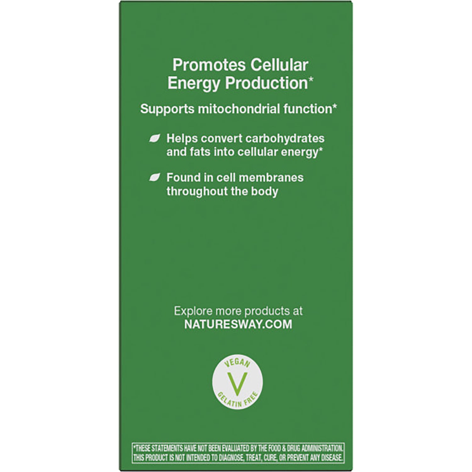 ET385 | Back panel reading SMART Q10 supports heart and brain health and notes CoQ10's energy support