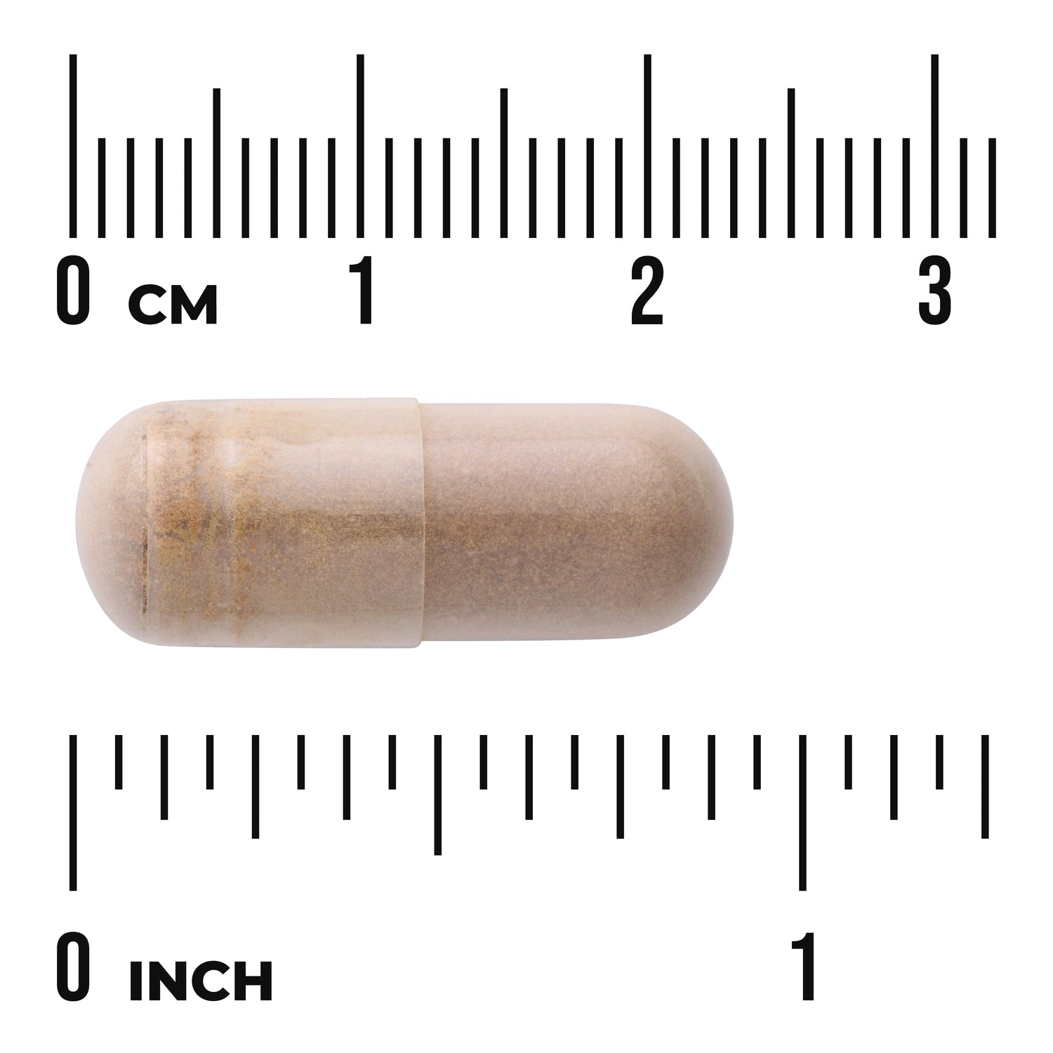 SWH168 | Capsule shown against centimeter and inch ruler for size reference