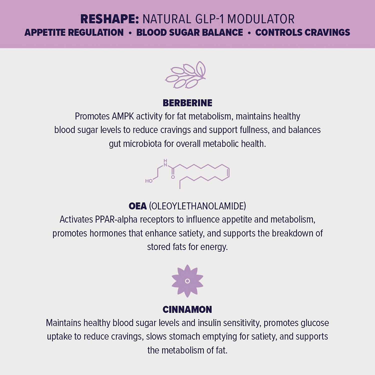 Back panel listing Reshape natural GLP-1 modulator and ingredient descriptions for Berberine, OEA (oleoylethanolamide), and cinnamon