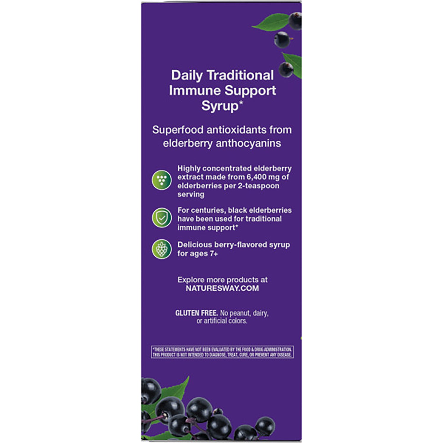 NW661 | Back panel listing Daily Traditional Immune Support Syrup benefits, elderberry extract details and gluten free note