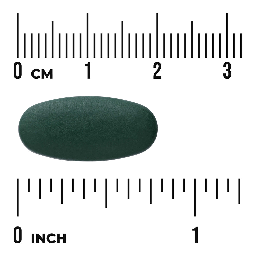 SW918 | Dark green oblong tablet with cm and inch rulers showing size - Thumbnail