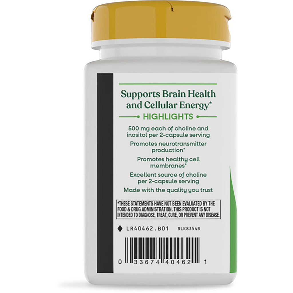 Choline & Inositol - Thumbnail