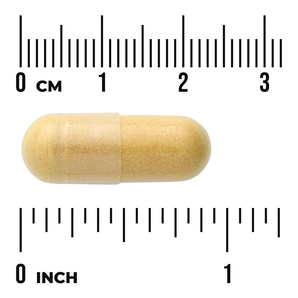 SWU849 | Capsule form with size shown against cm and inch rulers - Thumbnail