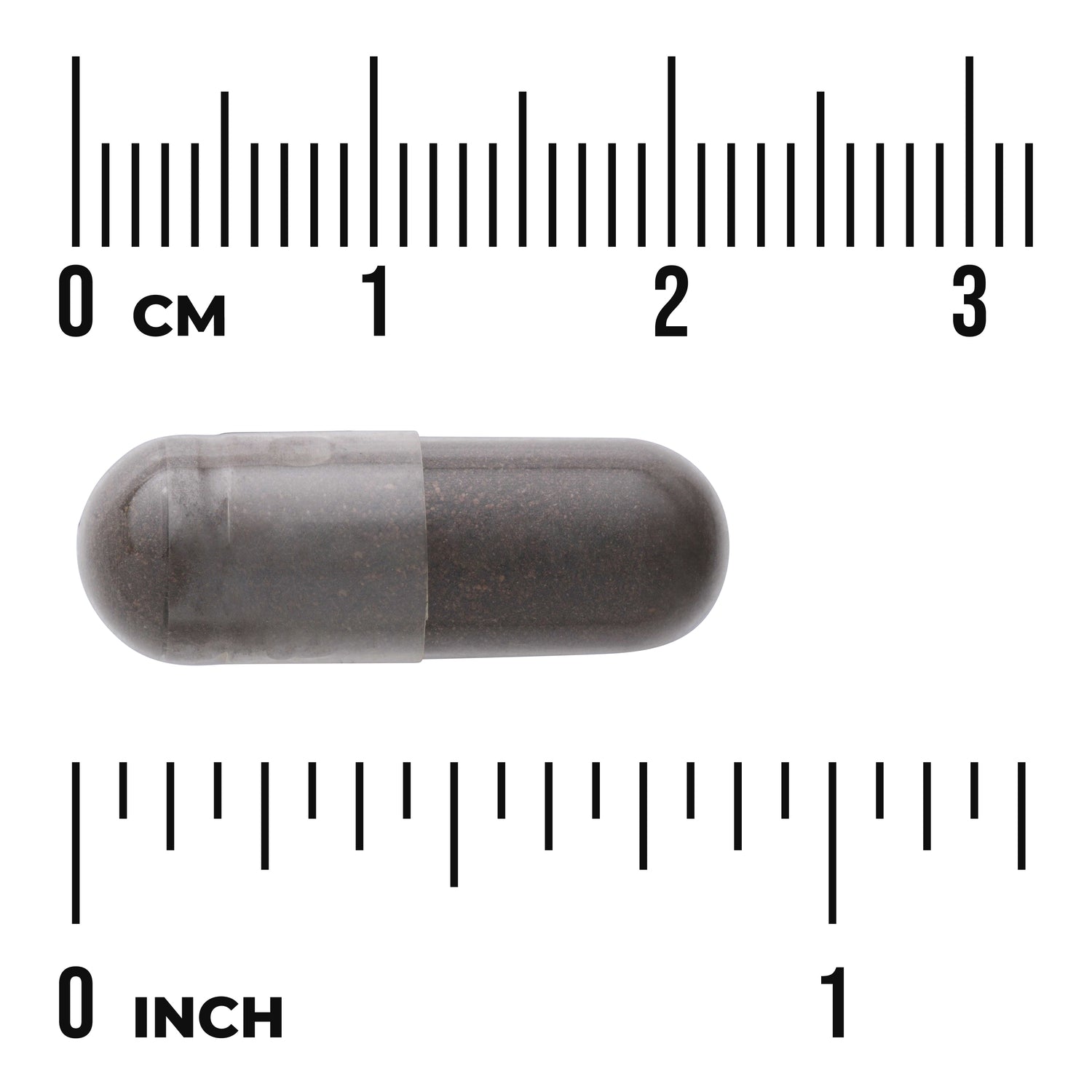 SW1362 | Gray-brown capsule on white background next to centimeter and inch rulers showing size