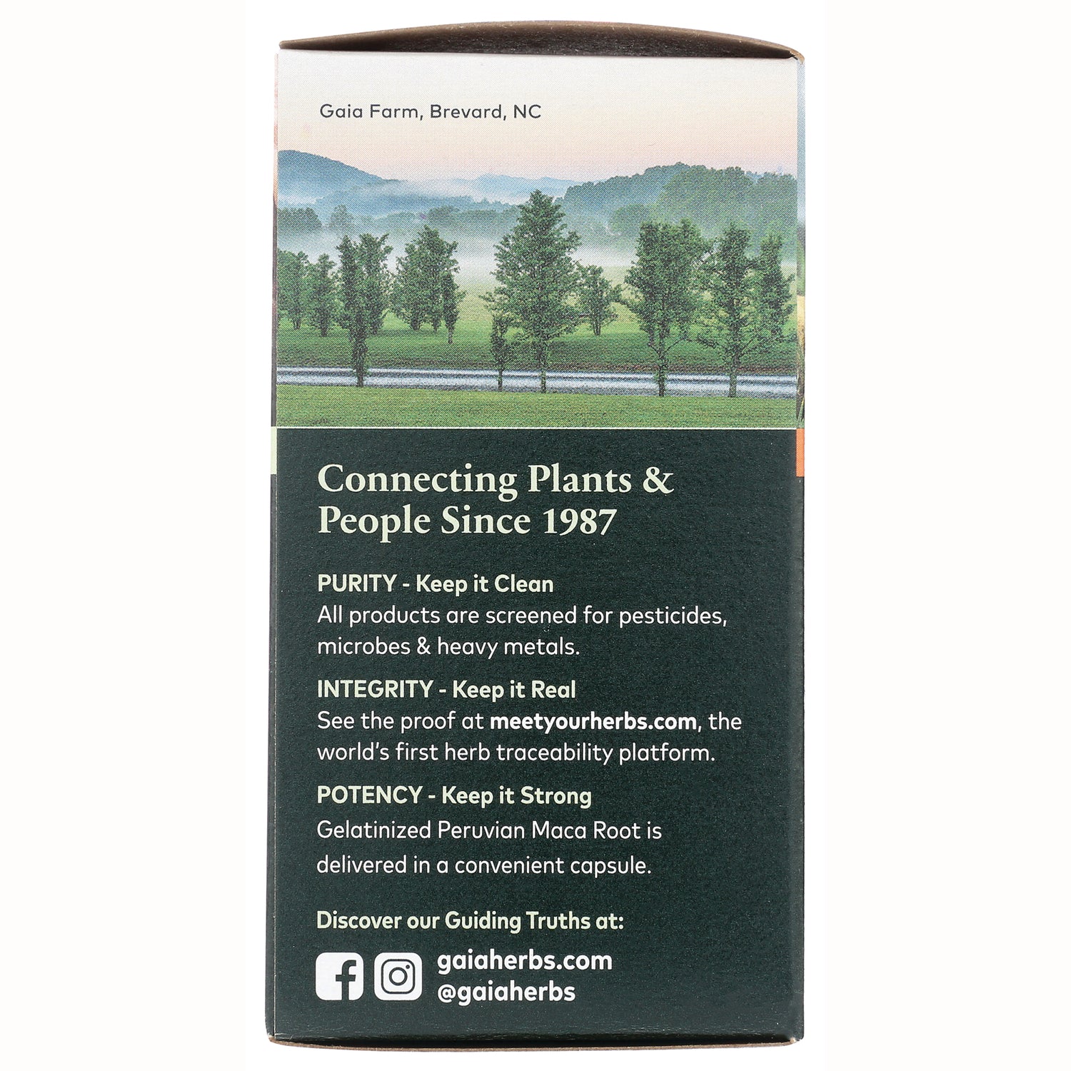 GH080 | product infographic showing box back with Connecting Plants & People Since 1987, purity integrity potency claims and gaiaherbs.com