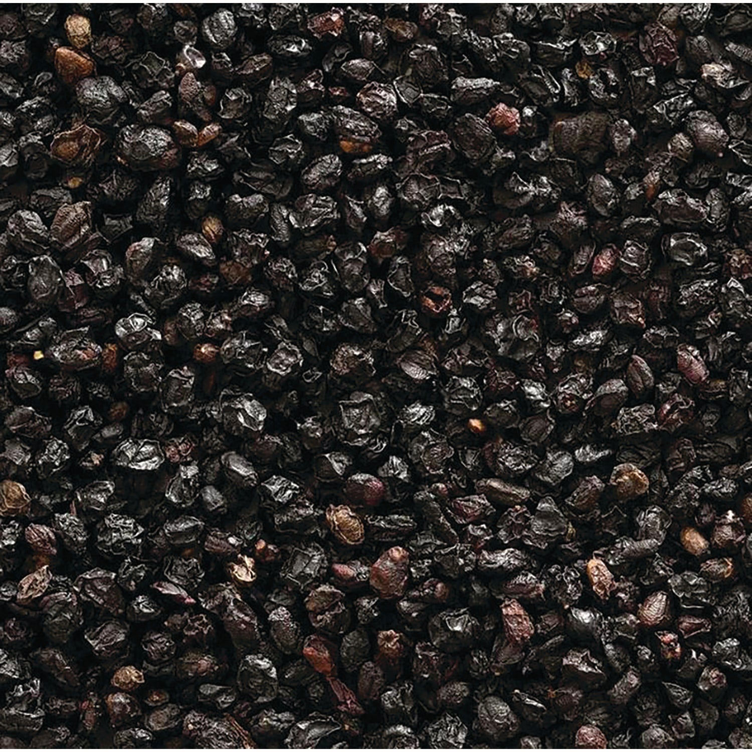 FNP380 | close-up of dried dark berries filling the frame