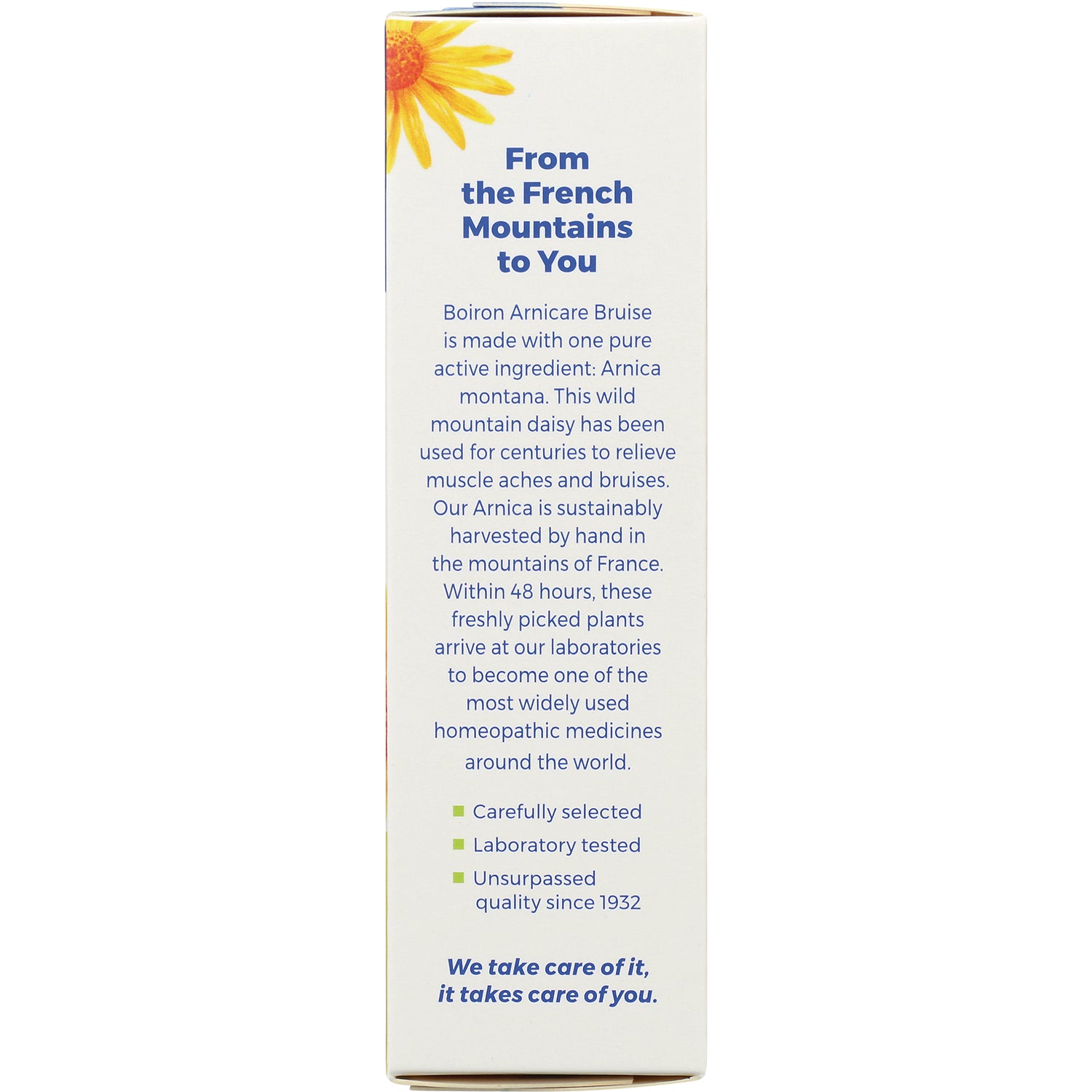 BRN094 | side panel text about Arnica Arnicare sourced from the French mountains, sustainably harvested and laboratory tested