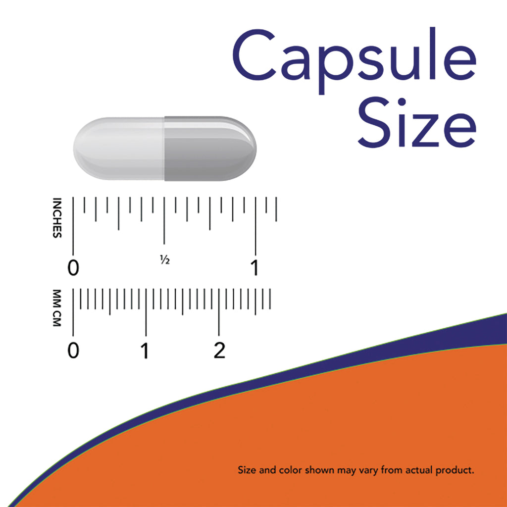 NWF1391 | Capsule size graphic showing a capsule above inch and millimeter rulers - Thumbnail